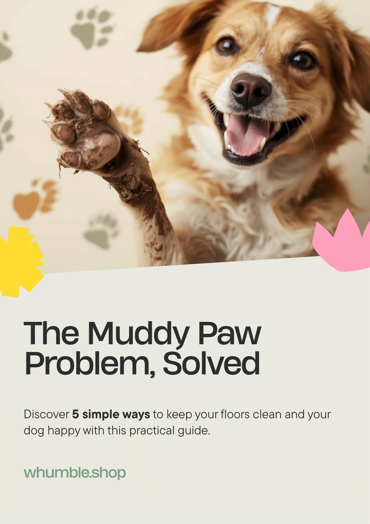 The Muddy Paw Problem, Solved (Free Ebook)