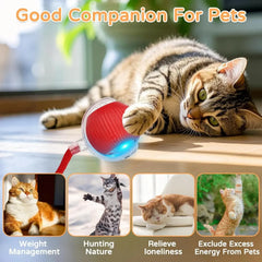 Automatic Rolling Ball Toy for Cats and Dogs