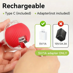 Automatic Rolling Ball Toy for Cats and Dogs
