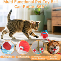 Automatic Rolling Ball Toy for Cats and Dogs