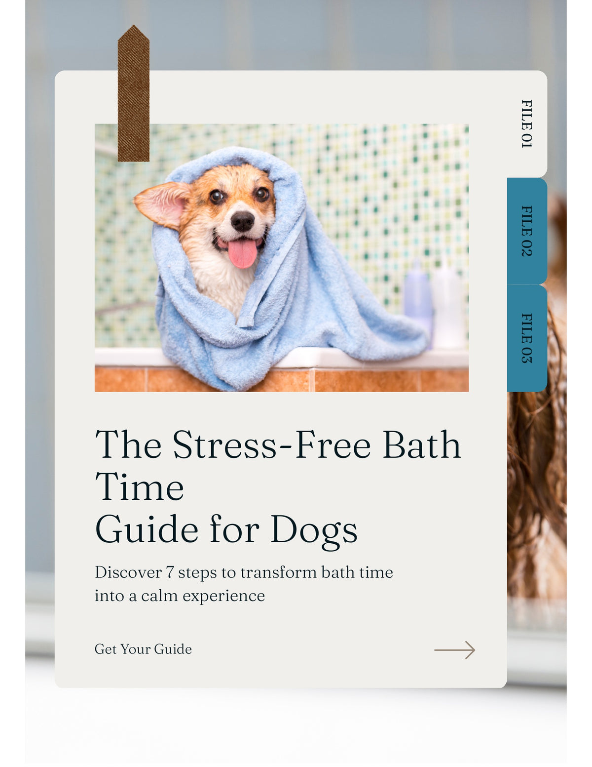 The Stress-Free Bath Time Guide (Free Ebook)